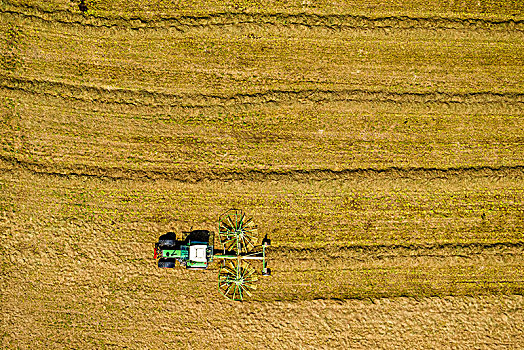拖拉机,相似,旋转,干草,耙子,稻草,收获地,粮食收获,鲁尔区,北莱茵威斯特伐利亚,德国
