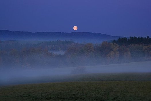 雾状,黎明,满月