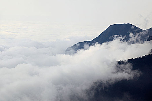 山,云海,雾