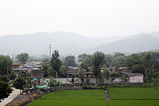 农村,田野,庄稼地,土地,农田,庄稼