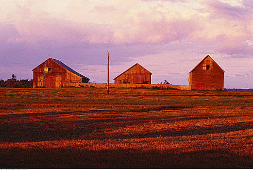 谷仓,日落,码头,新布兰斯维克,加拿大