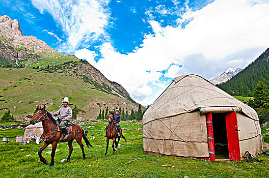 吉尔吉斯斯坦,省,山谷,马,游牧,生活