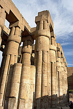 埃及,路克索神庙,庙宇,纸莎草,埃及新王国,古老,底比斯