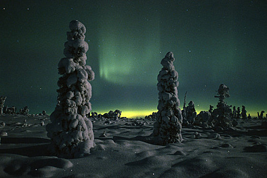 北极光,靠近,英里,阿拉斯加,冬天,景色