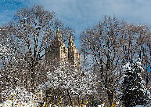 圣雷莫,建筑,风景,雪,树,中央公园,冬天,纽约,美国,北美