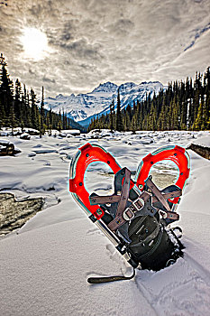 雪鞋,雪中,堤岸,河,冬天,攀升,脚,背景,加拿大,落基山脉,艾伯塔省