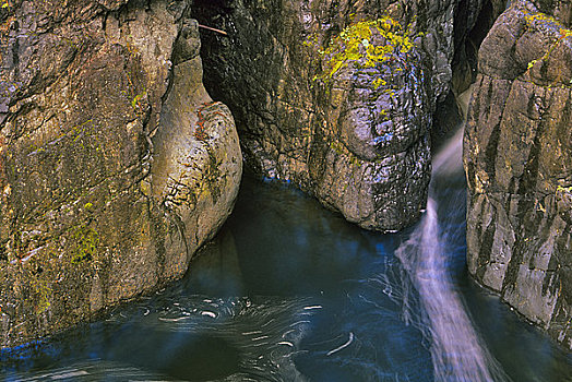 河,流动,石头,西海岸,秋天,省立公园,温哥华岛,不列颠哥伦比亚省,加拿大