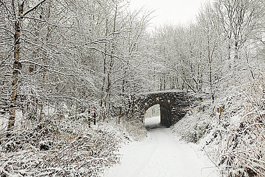 英格兰,兰开夏郡,雪,遮盖,小桥,穿过,上方,道路,树