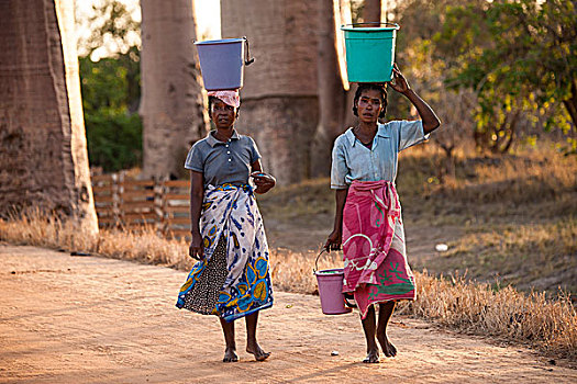两个女人,桶,头部,穆龙达瓦,马达加斯加,非洲