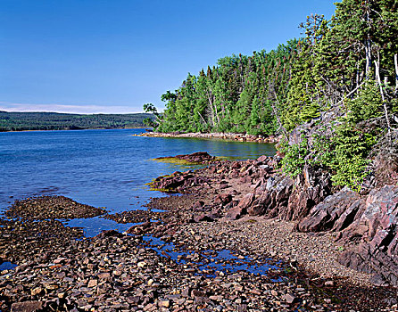 加拿大,纽芬兰,土壤,国家公园,蓝色,水,声音,围绕,混合,针叶树,硬木,树林,大幅,尺寸