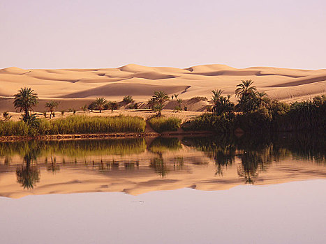 绿洲,撒哈拉沙漠