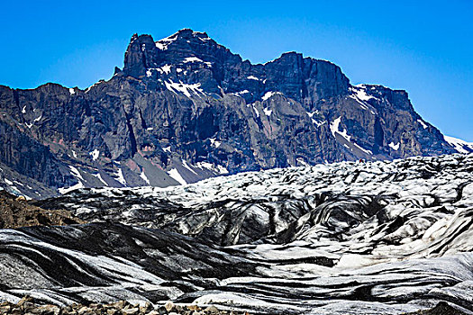 特写,冰河,山,背景,斯卡夫塔菲尔国家公园,冰岛