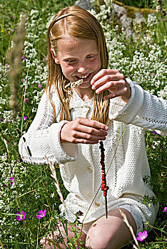 瑞典,女孩,12-13岁,拿着,草,树莓