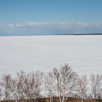 冰冻,湖,冬天,温尼伯湖,赫克拉火山磨石省立公园,曼尼托巴,加拿大