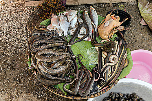 篮子,蛇,鱼,鸡肉,乡间小路,金边,柬埔寨,亚洲