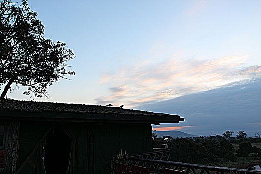 肯尼亚阿布代尔树顶旅馆楼顶清晨