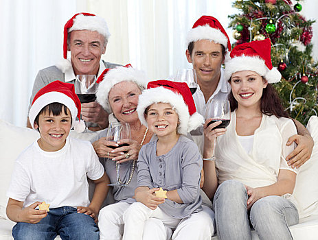 家庭,庆贺,圣诞节,葡萄酒,甜食