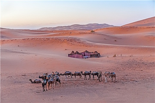 露营,撒哈拉沙漠,摩洛哥,非洲