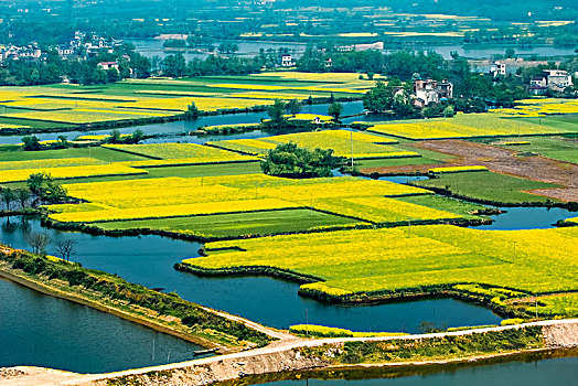 安徽省芜湖市响水涧油菜花田园乡村自然景观