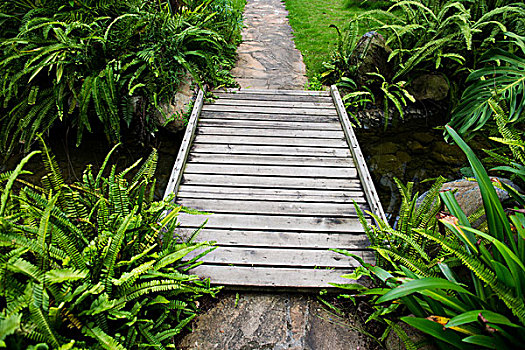 木桥,花园