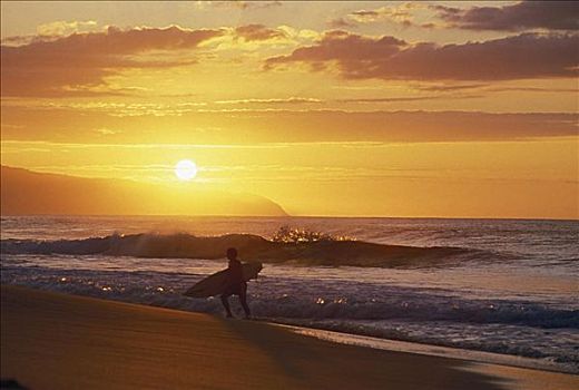 夏威夷,瓦胡岛,北岸,剪影,冲浪,走,室外,海洋,金色,日落
