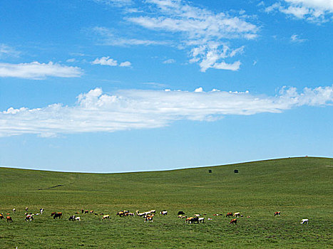 坝上风景