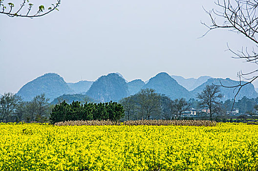 田园风光