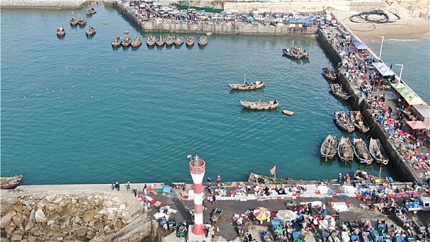 山东省日照市,渔船靠岸带来大量海鲜,市民开着车前来抢购