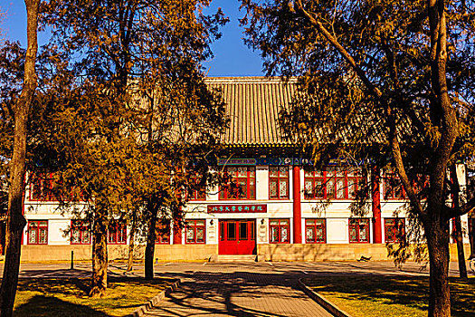 北京大学艺术学院