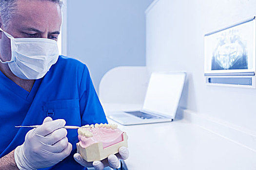 牙医,拿着,嘴,模型,牙科工具,牙科诊所