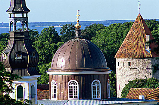 城堡区,城堡,要塞,墙壁,大炮,塔,老城,塔林,爱沙尼亚