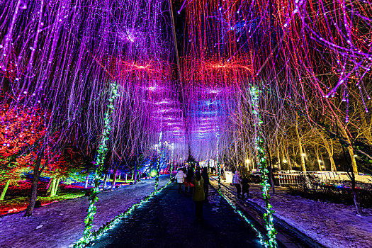 中国长春汽车冰雪嘉年华夜晚场景