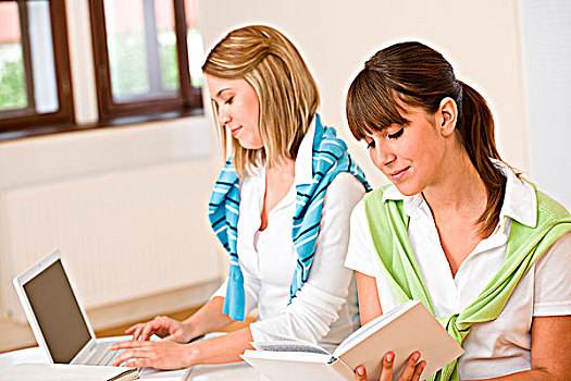 学生,在家,两个女人,书本,笔记本电脑,学习,一起