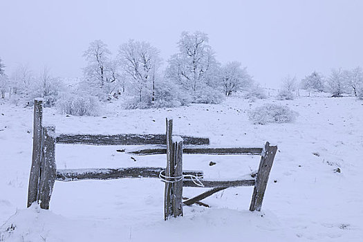 老,积雪,农场,大门,山峦,黑森州,德国