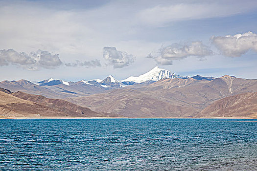 西藏,羊卓雍措,羊湖,圣湖