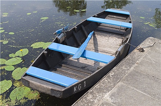 划艇,待租,荷兰