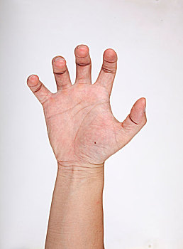 爪子的手势