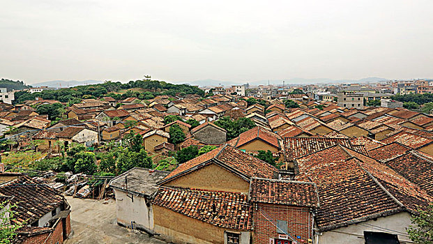 大朗镇松木山风景