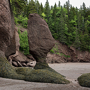 岩石构造,霍伯威尔岩,芬地湾,新布兰斯维克,加拿大