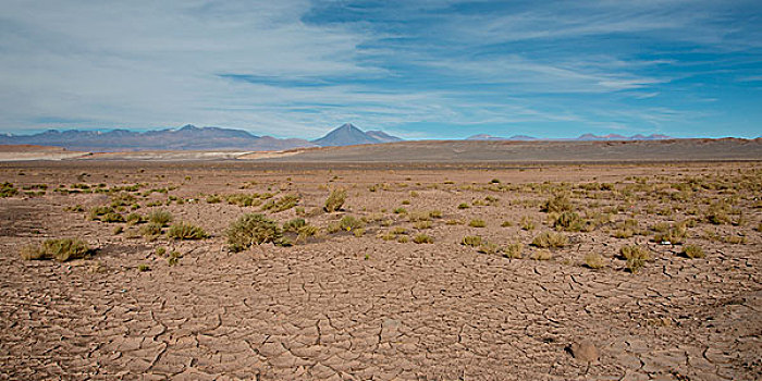 风景,荒漠景观,佩特罗,阿塔卡马沙漠,省,安托法加斯塔大区,智利