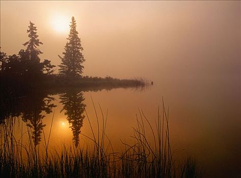 碧玉国家公园,艾伯塔省,加拿大