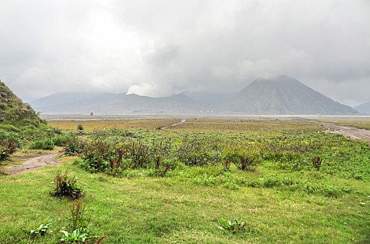风景,婆罗摩火山,爪哇
