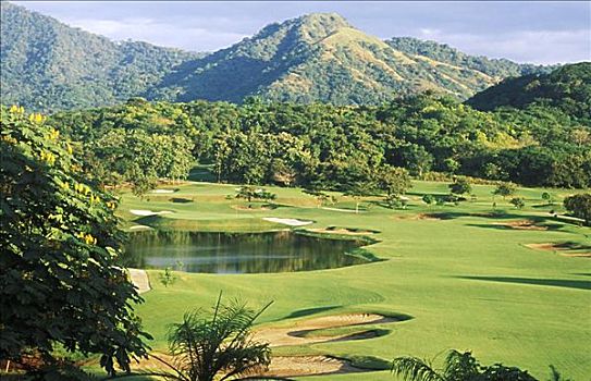 哥斯达黎加,美景,高尔夫球场