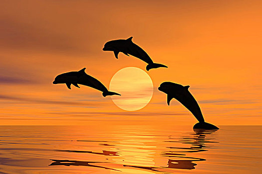 三个,海豚,跳跃,室外,水,日落,剪影,电脑制图