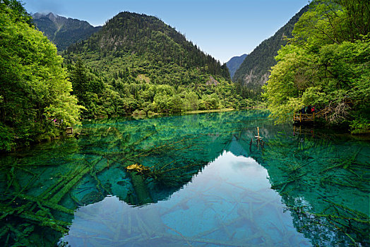 中国四川省九寨沟风景区五花海