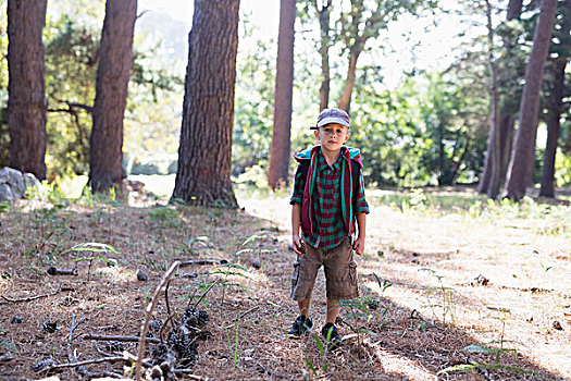 男孩,头像,远足,树林,戴着,帽