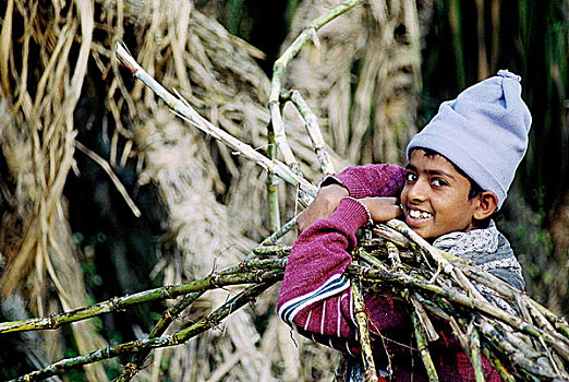 头像,儿子,甘蔗,农民,地点,脱粒,英里,孟加拉,二月,2007年