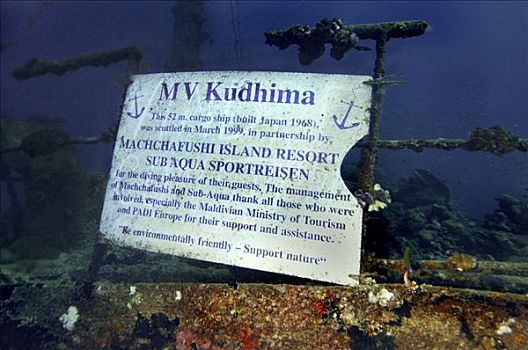 残骸,1999年,阿里环礁,马尔代夫