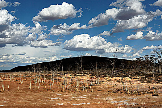 风景,自然保护区,西澳大利亚,澳大利亚