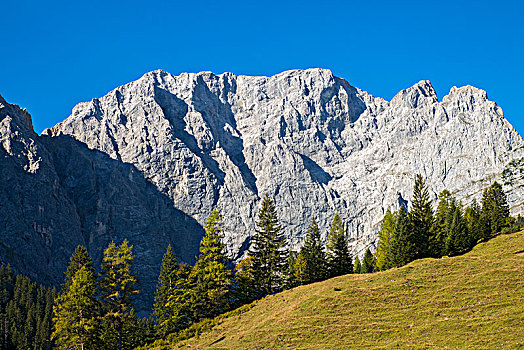 陡峭,岩石,顶峰,山,提洛尔,奥地利,欧洲